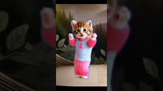 Aha tomator....cat dance  🐈🐱#tiktok #trending #kids #rhymes #kidssong #nurseryrhymes #viralshorts