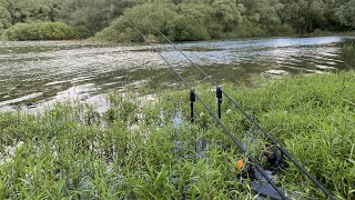 Obrovský kapr mi zlomil podběrák! Jak ulovit obrovské kapry v trávě. Letní kaprařina na boilies.