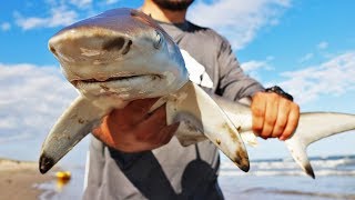 EPIC Surf Fishing ADVENTURE! (SHARKS and BULLS)