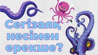 Неге Сегізаяқтың Миы Ерекше? | Nelіkten