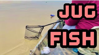 Jug Noodle Fishing Big Blue Catfish On The Lake (Surprising!) #shorts