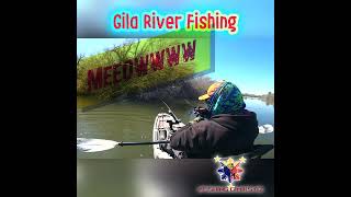 Gila River Fishing - bass what? #Shorts