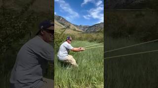 Launching orange with Giant Slingshot at my mountain retreat #physics #fun