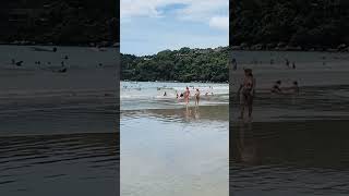 PRAIA DAS TONINHAS UBATUBA