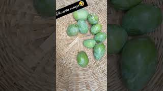 திருட்டு மாங்காய்😋😋 🥱🥱#shots #viral #trending 🔥🔥🔥🔥