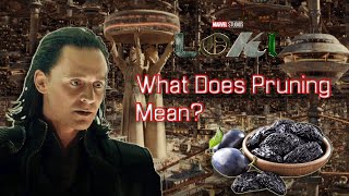 What is Pruning in Loki? | 4th Wall Break