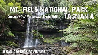 Mt. Field National Park | Waterfalls | Tasmania | Australia