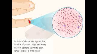 The Microscope - Animated -  English - VIII Class