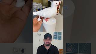 Pigeon shapedsoap dispenser for Hand wash  #shorts #youtubeshorts