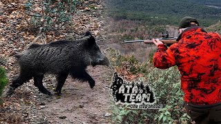 ATA TEAM S09E05 2024 İlk Domuz Avi Wildboar Hunting