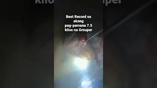 BEST RECORD | GROUPER #shortsfeed #grouper #shortsvideo #shorts