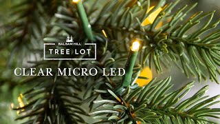 Clear Micro LED | Tree Lot