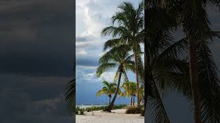 Photos of Bonita Springs Florida - #palmtrees #beach #nature #southwestflorida #gulfofmexico