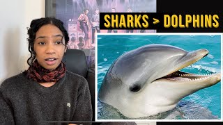 Why the world should fear dolphins, not sharks | Reaction