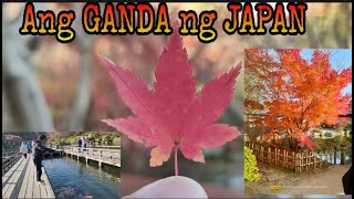 #Autumn #Season ng #JAPAN ang #GANDA #BuhayOfwsaJapan #farmersajapan Ep. 14