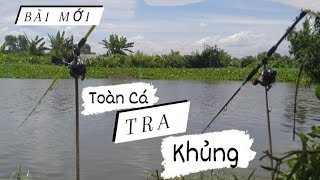 Phát Hiện Điểm Câu Mới Nhiều Cá Tra Khủng. Nước Lớn Cá Lên Móng Cả Khúc Sông/ @minhcanhfishing