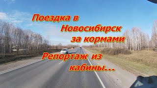 До Новосибирска по хорошей погоде за кормами . 14 - 16 октября 2024 года.