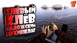 ФАРМИМ, ПРОКАЧИВАЕМСЯ, ЛОВИМ ТРОФЫ, ОБЩАЕМСЯ! | #SHORTS СТРИМ РУССКАЯ РЫБАЛКА 4