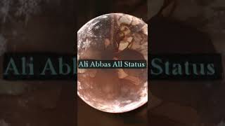 Shah Ast Hussain (as) Nohay Status l 2024 Nohay Status l Nadeem Sarwar Nohay l @Ali Abbas All Status