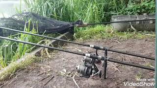 Carp fishing on the big lake