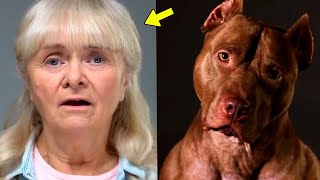 Elderly woman adopts pit bull, suddenly the neighbors hear a scream! See what happened!