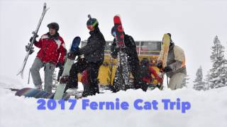 2017 Fernie Cat Trip