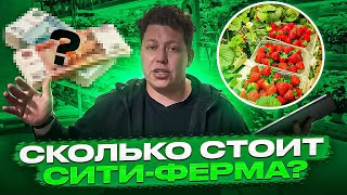 СКОЛЬКО СТОИТ ПОСТРОИТЬ СИТИ-ФЕРМУ?