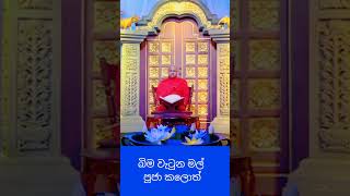 බිම වැටුන මල් පූජා කලොත් මොකද වෙන්නේ🥀#welimada_saddhaseela_thero #bana #budu_bana #dharmadeshana