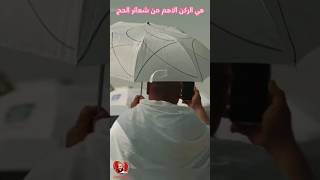 عاجل السعوديه عرفه موسم الحج ملايين الحجاج في صعيد عرفه #_السعودية #_عرفه #_اليمن #_الحوبان