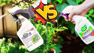 Garden Safe vs Bonide Neem Oil Insecticides (Which Insecticide is Most Effective)