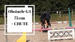 Cours de saut G4 75 cm + chute