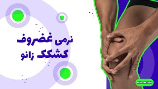 نرمی غضروف کشکک زانو