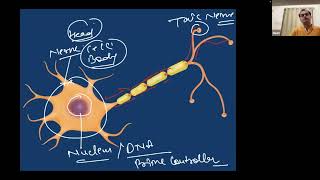 English #NMJ  #Neuro #Muscular Junction, Neuro Muscular Disorders part one