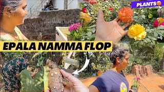 Eni ammana flop andh 😂 | nursery flowers baidund | DV 415