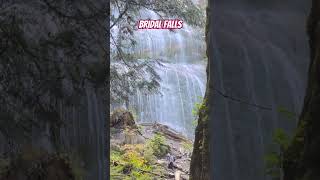 #bridalfalls #adventure #exploring BC #naturelovers #beautifulbritishcolumbia