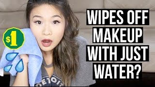 $1 Microfiber Cloth vs $28 Sephora Makeup Eraser | Eva Chung