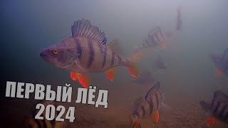 ПЕРВЫЙ ЛЕД - наловил рыбы НЕ УВЕЗТИ! Поклевки КРУПНЯКА на подводную камеру!