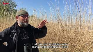 Buitengewone Scheldevallei - Slikken en schorren