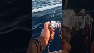 STRIKE IKAN LAYUR || SHIMANO OCEA JIGGER AMIS #remix #music #cover #dj #fishing #mancing #jigging