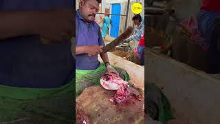 KASIMEDU SPEED SELVAM FISH CUTTING VIDEO #kasimeduselvam #shotrs #bigfishcutting #youtube #bigfish