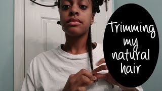 Trimming my Natural Hair