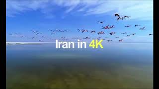 Fascinating 4 Seasoned Iran's Nature