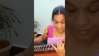 Raasathi Raasanatha | Ilaiyaraaja | Veena Cover | Ragam Madhimavathi