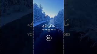 Surah As Sajdah #القرآن_الكريم #quranpak  #Abdul_Rehman_Mossad #islamicvideo #islamicstatus #reels