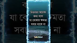 নিরবতা অনেক কথা বলে যা বোঝার ক্ষমতা সবার থাকে না