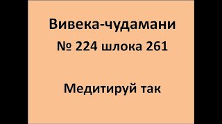 ВивекаЧудамани курс Свамини Видьянанды Сарасвати 224 шлока 261 Медитируй так