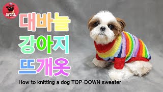 [써니의실노리]대바늘 탑다운 강아지옷 뜨개 니트만들기ㅣ모든 사이즈 가능ㅣHow to knitting a dog TOP-DOWN sweater ㅣ반려견 반려묘 뜨개옷