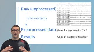 Basic Data Types v1