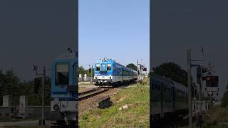 842 009-3 se svým spěšným vlakem projíždí zastávkou Veselí nad Moravou-Milokošť #trains #short #vlak