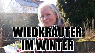 WILDKRÄUTER IM WINTER